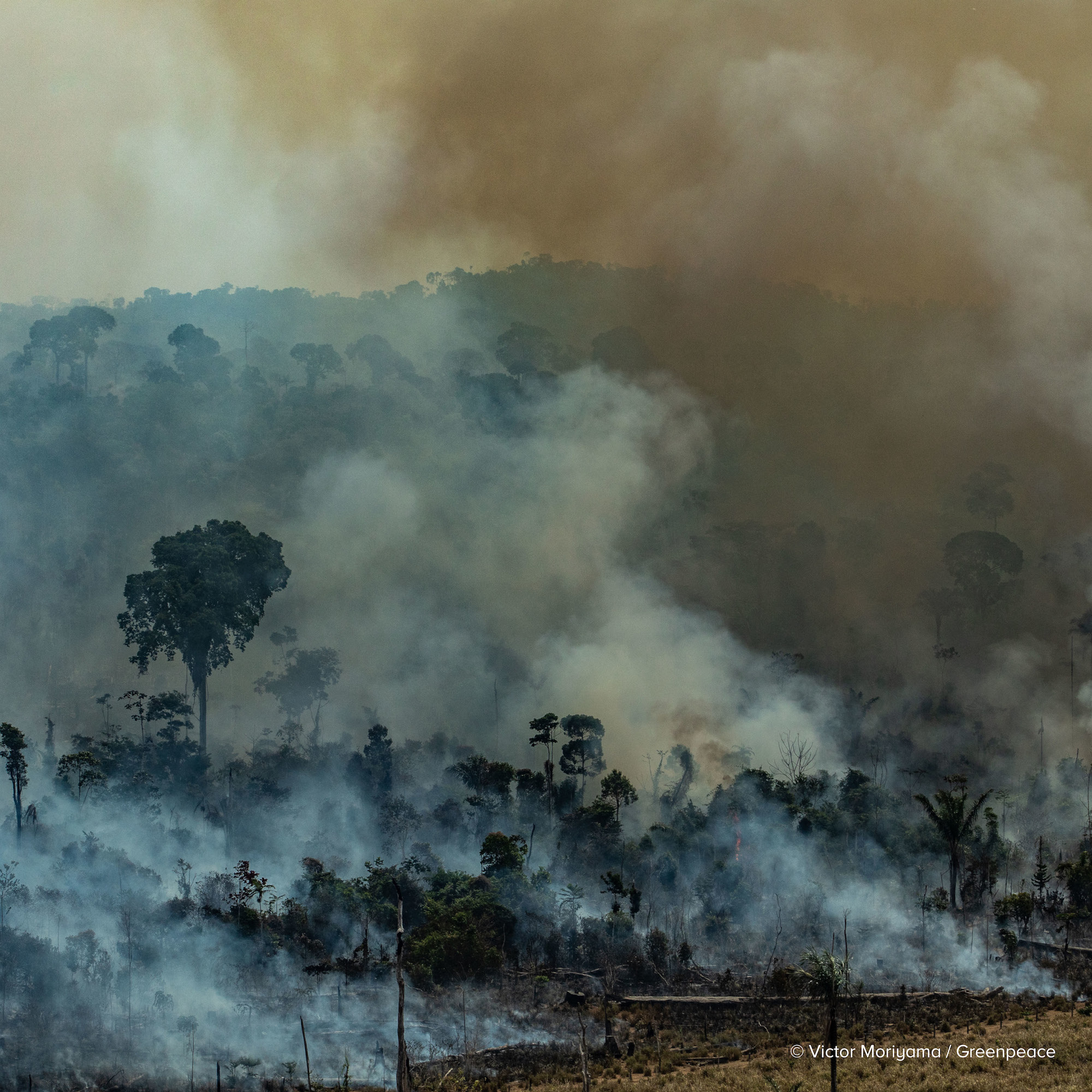 Scorched Earth: Culture And Climate Under Siege | Climate One